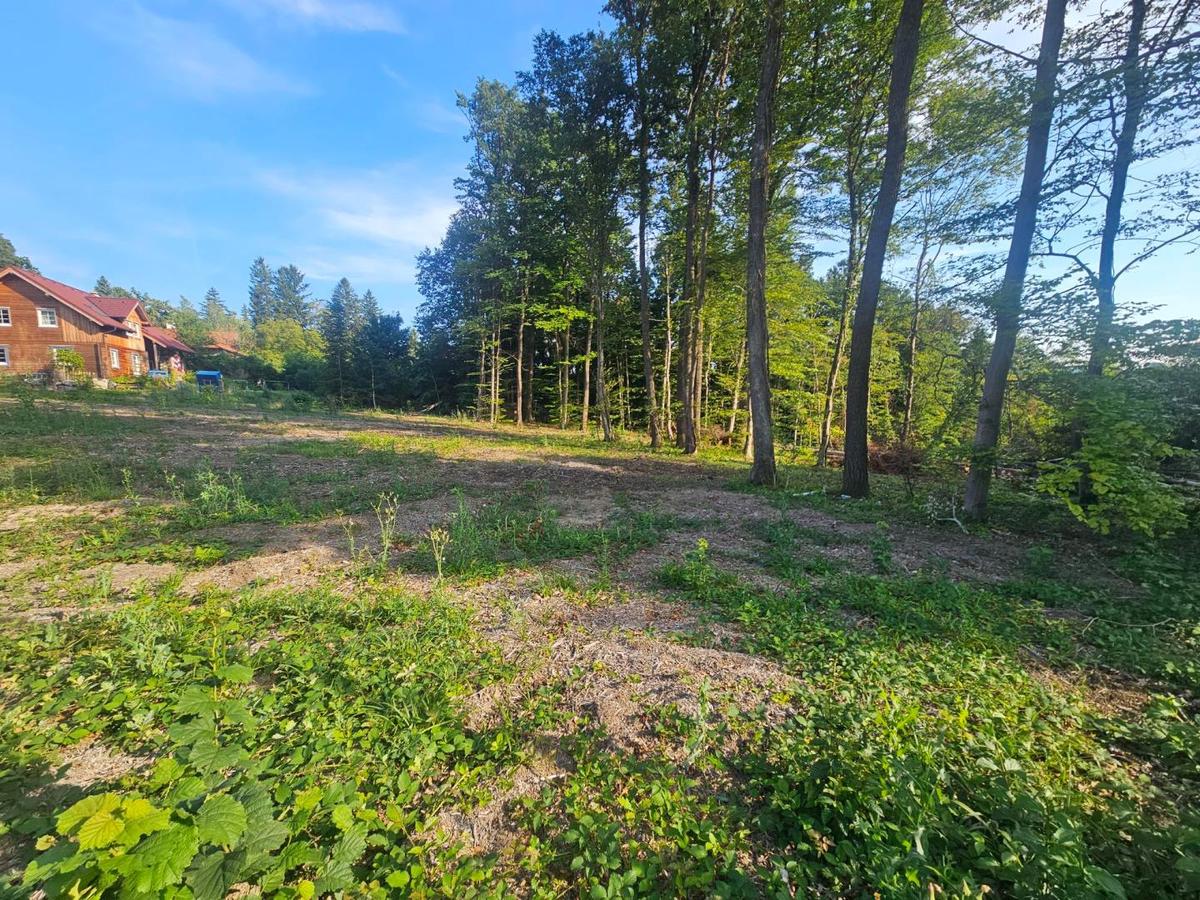 SCHNES SDSEITIGES GRUNDSTCK IN WALDRANDLAGE