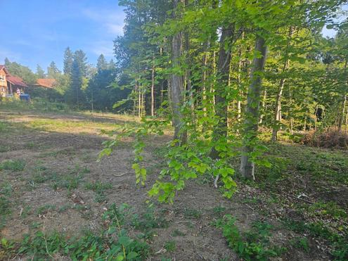 SCHNES, SDSEITIGES GRUNDSTCK IN WALDRANDLAGE