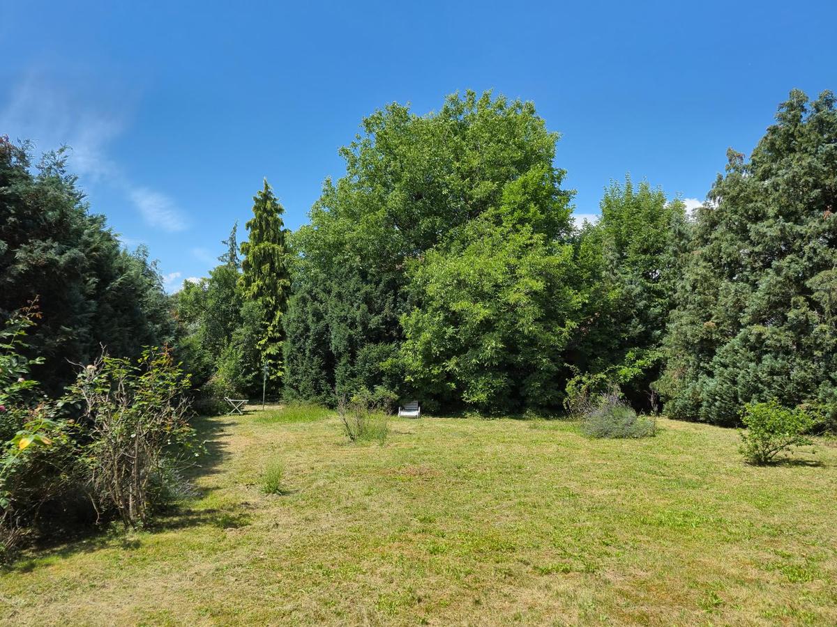 Garten Foto 3