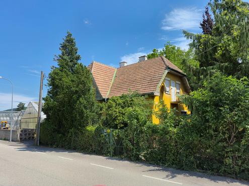 STARK SANIERUNGSBEDRFTIGES HAUS IN ZENTRUMSLAGE