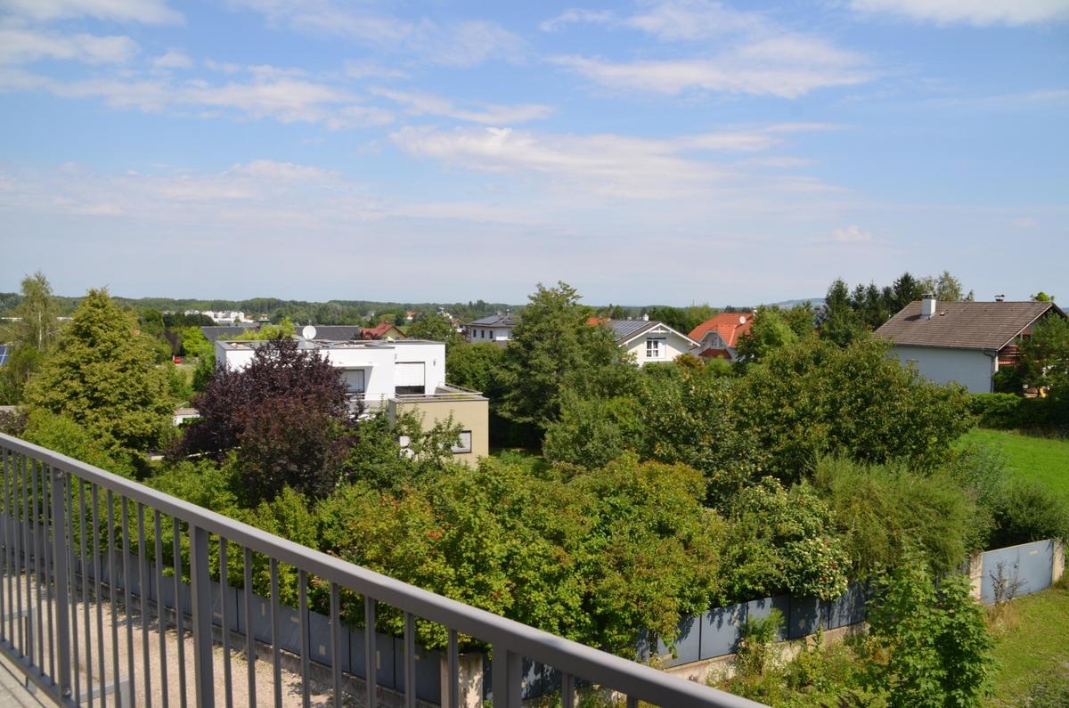 Fernblick