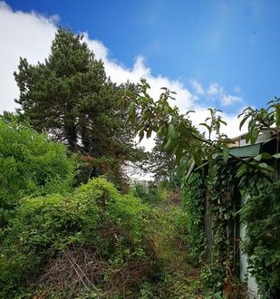 Tolles Baugrundstck mit Gartenhaus