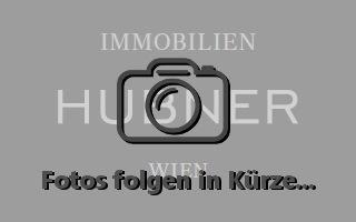 Fotos-folgen2