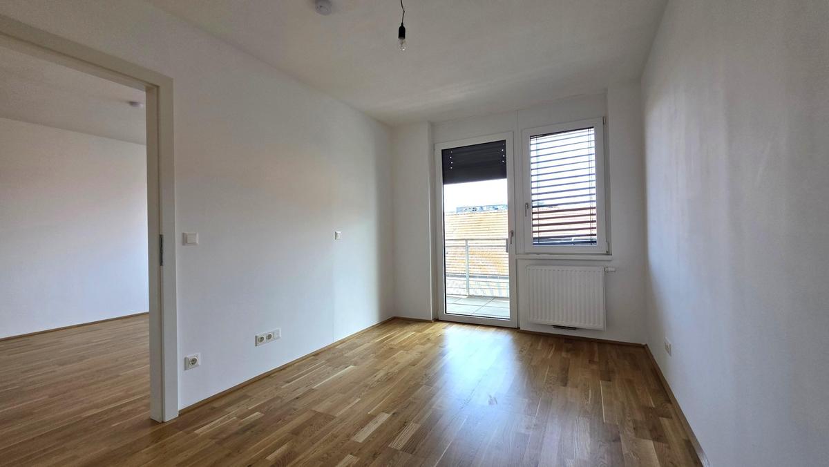 Bild (4)