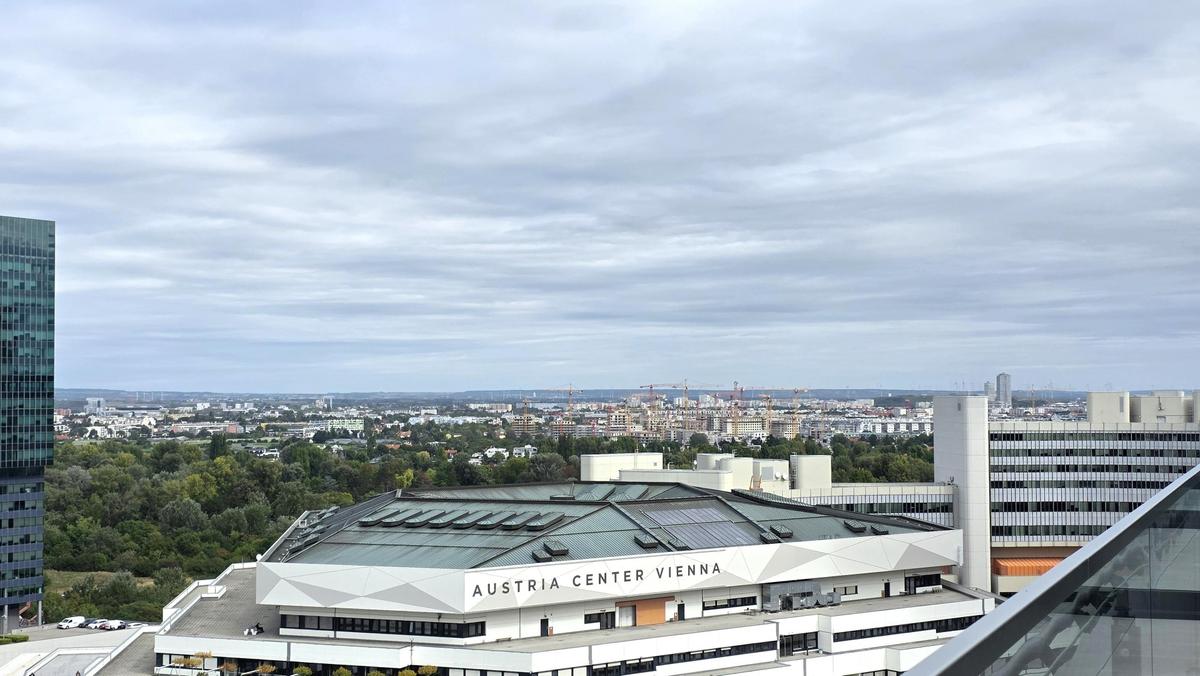 Bild (8)
