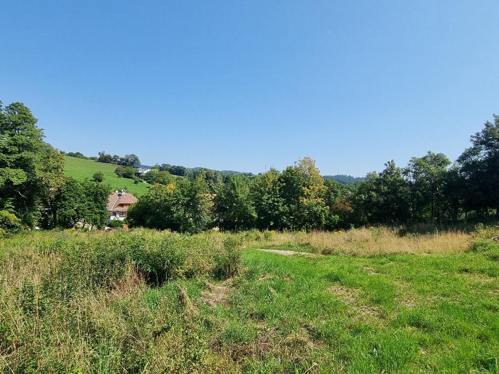 Baugrnde Irenental, Obj. 3934