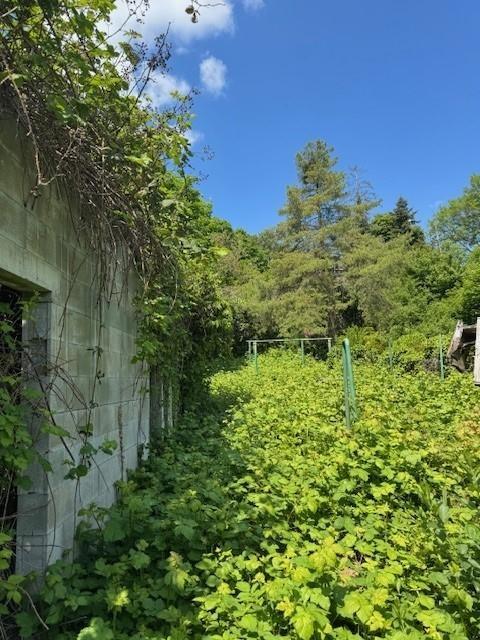 Garten.