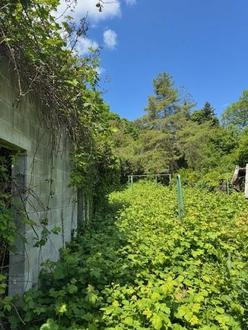 &quot;1.053m Baugrund BK I &amp; II in Stadtteil Weikersdorf!&quot;