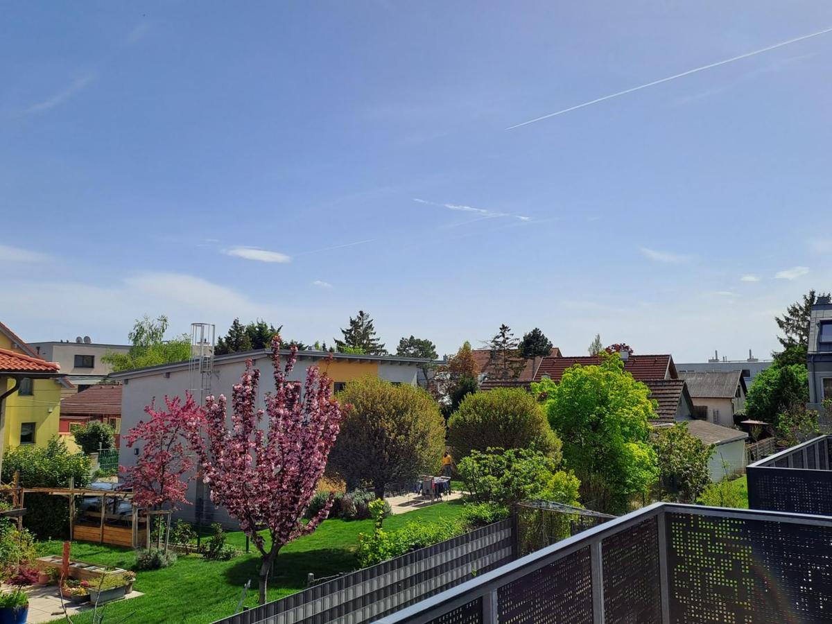 schner Grnblick