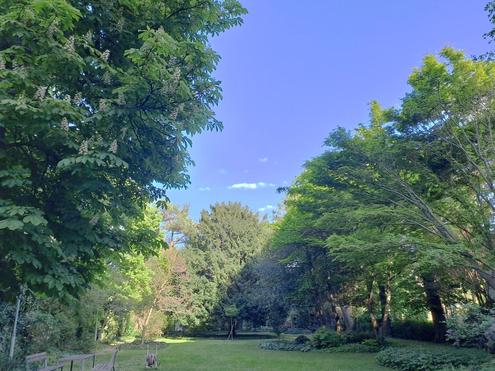 GEPFLEGTE ANLAGEWOHNUNG - GUT VERMIETET - AUSGEZEICHNETE INFRASTRUKTUR - IDYLLISCHER GEMEINSCHAFTSGARTEN