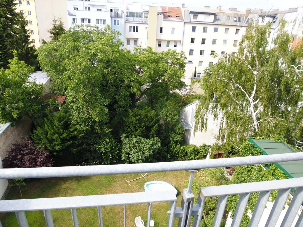 toller Blick ins Grne