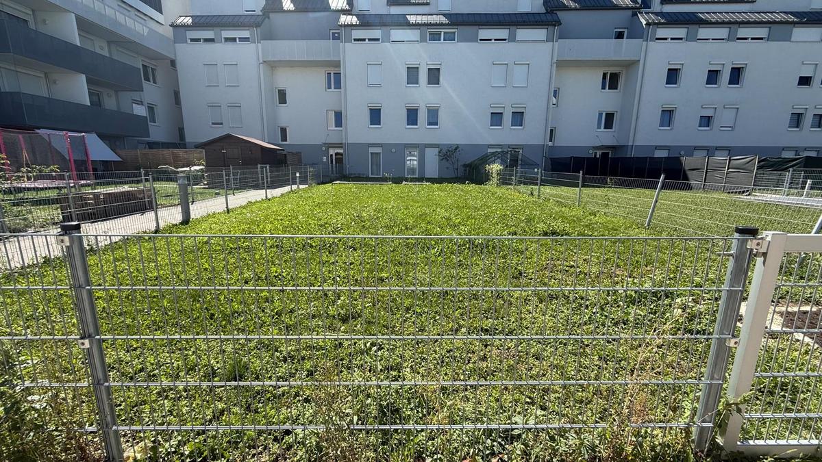 Auenansicht Garten