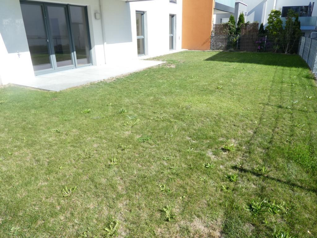 sonniger Garten
