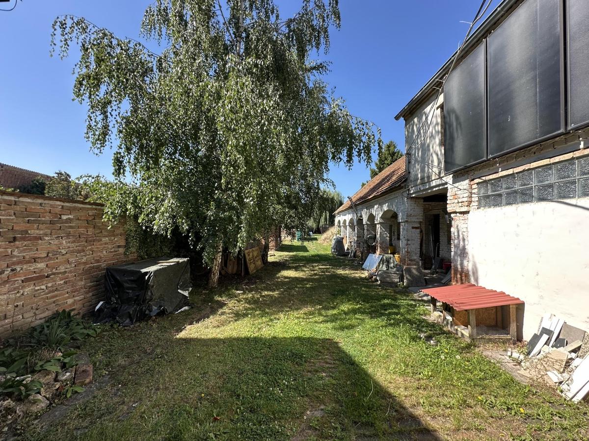19 Garten