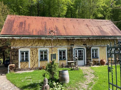LOFTARTIGE WOHNUNG IM GRNEN NAHE DER WIENER STADTGRENZE
