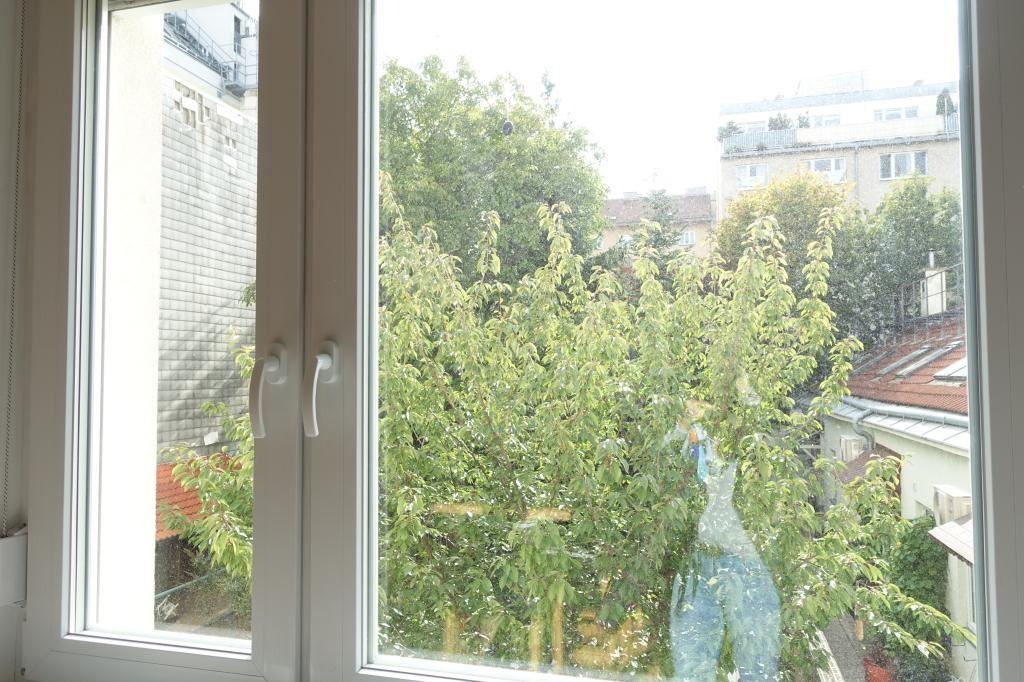 Blick ins Grne