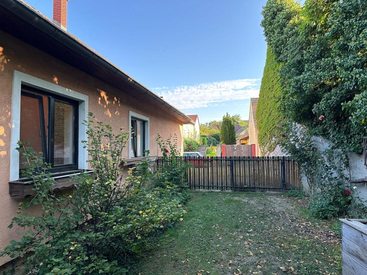 11_Garten