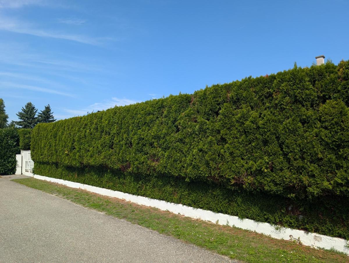 Strassenansicht
