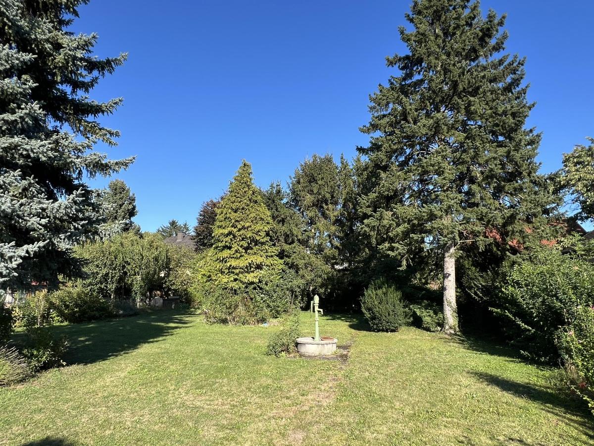 26 Garten