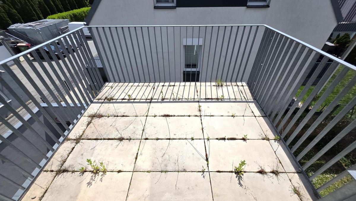 Bild (5)