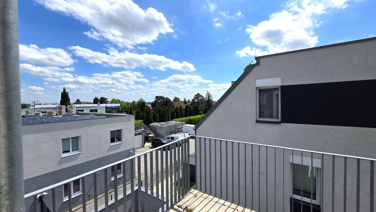 Bild (6)