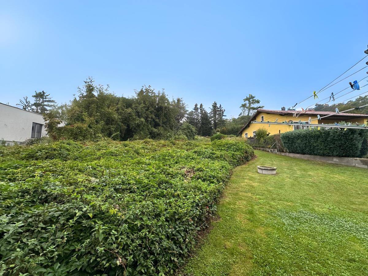 02 Grundstck in Holzleiten