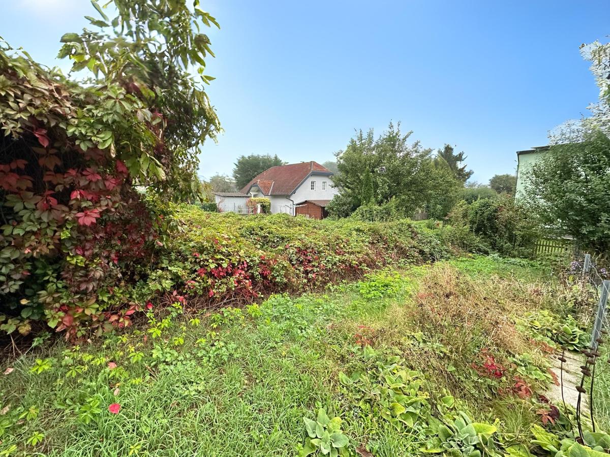 04 Grundstck in Holzleiten