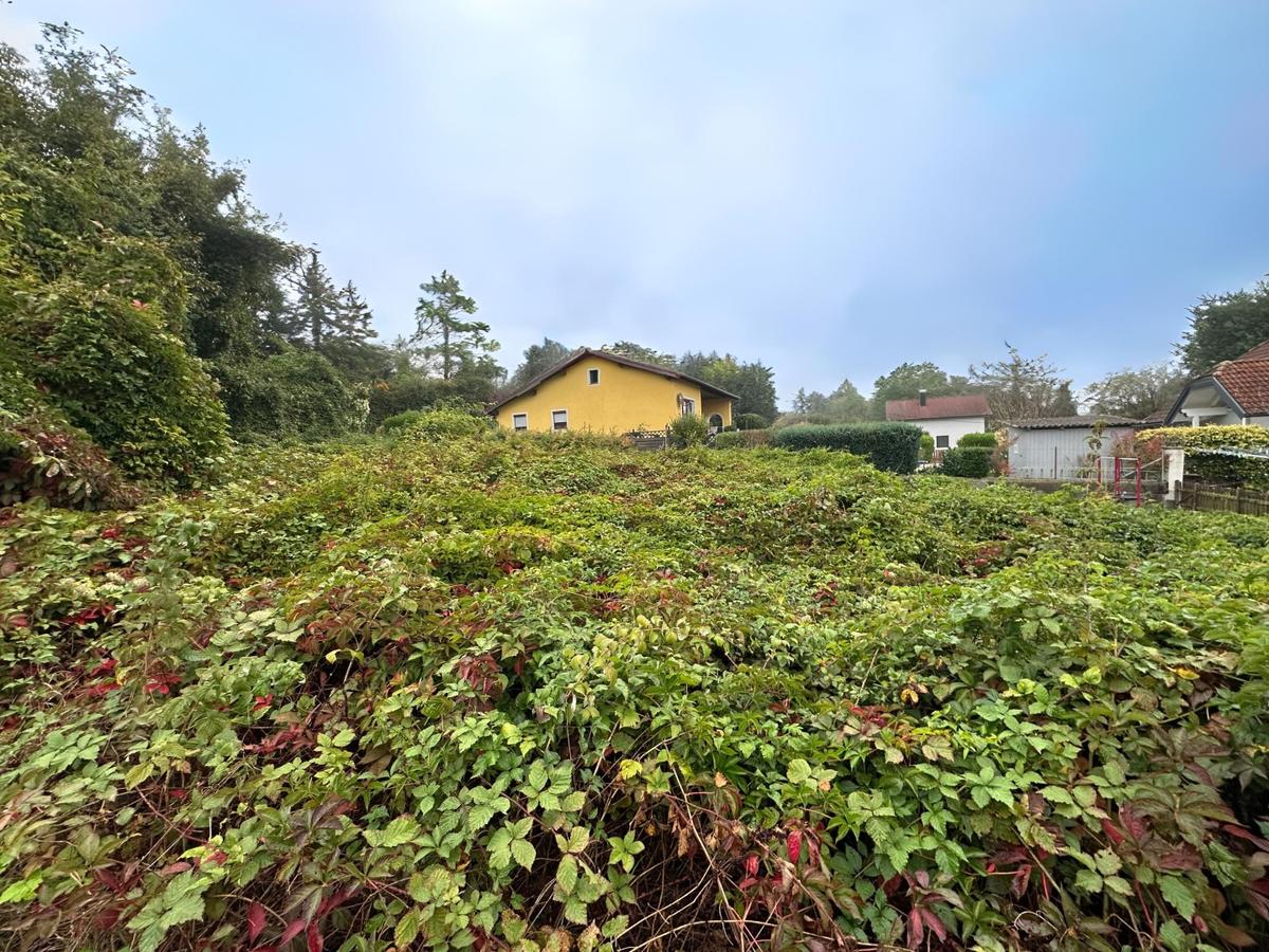 05 Grundstck in Holzleiten