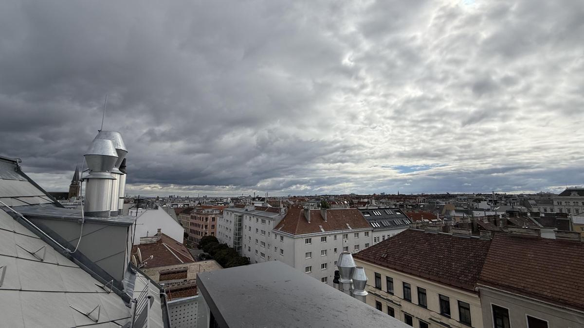 Weitblick