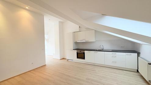 ber den Wolken nahe dem Servitenviertel/Clusiusgasse DG mit Terrasse ca. 11m