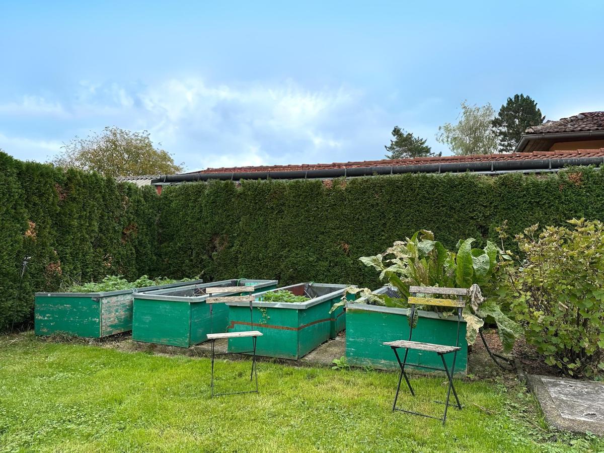 31 Garten