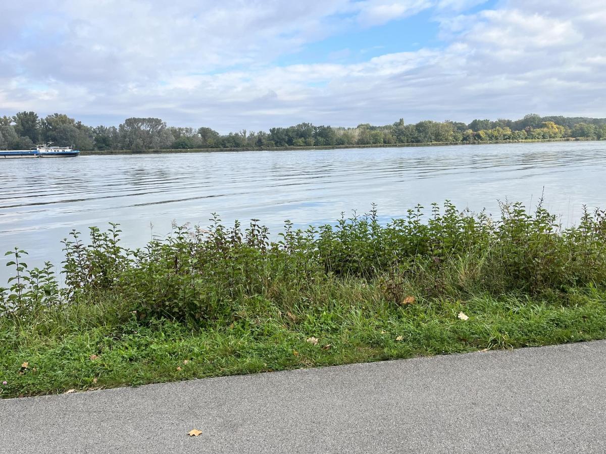 Donau