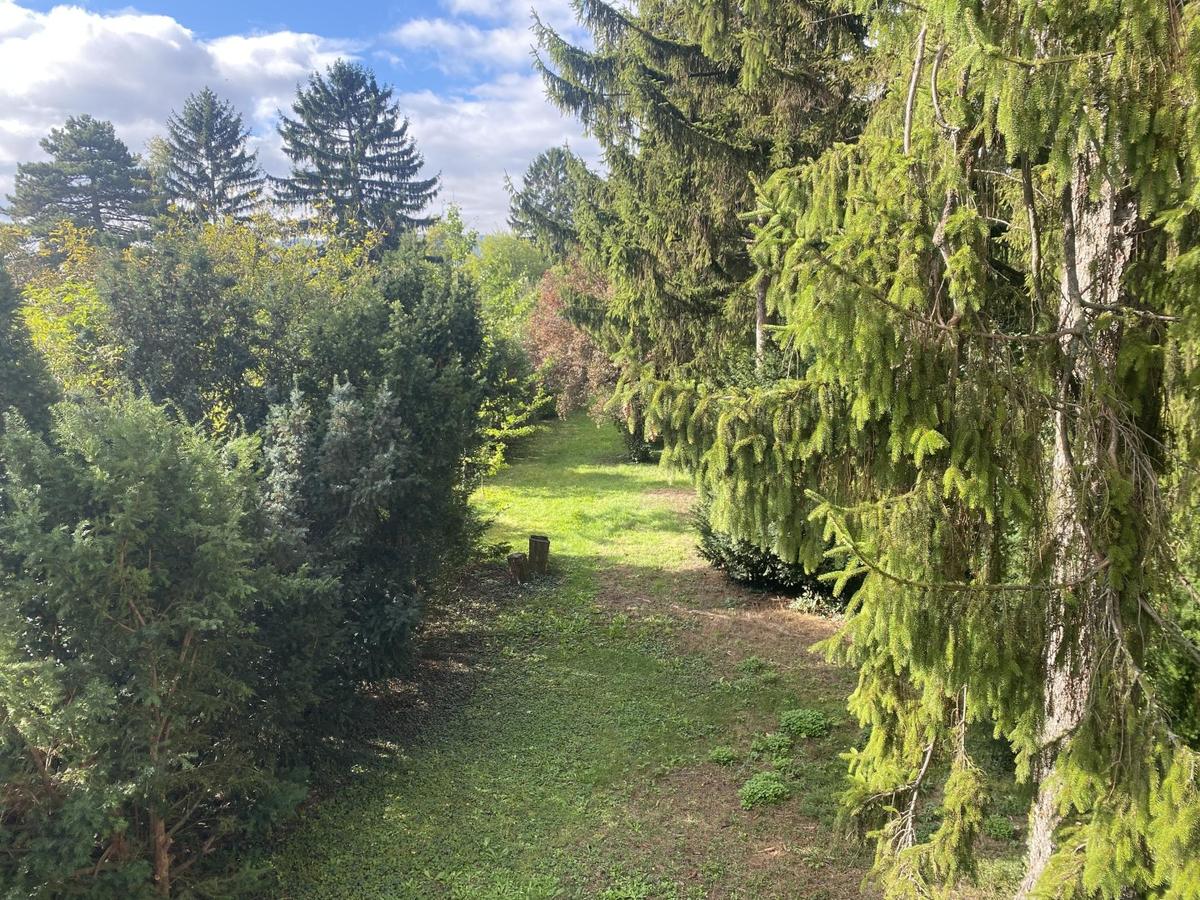 01 Grundstck in Langenzersdorf