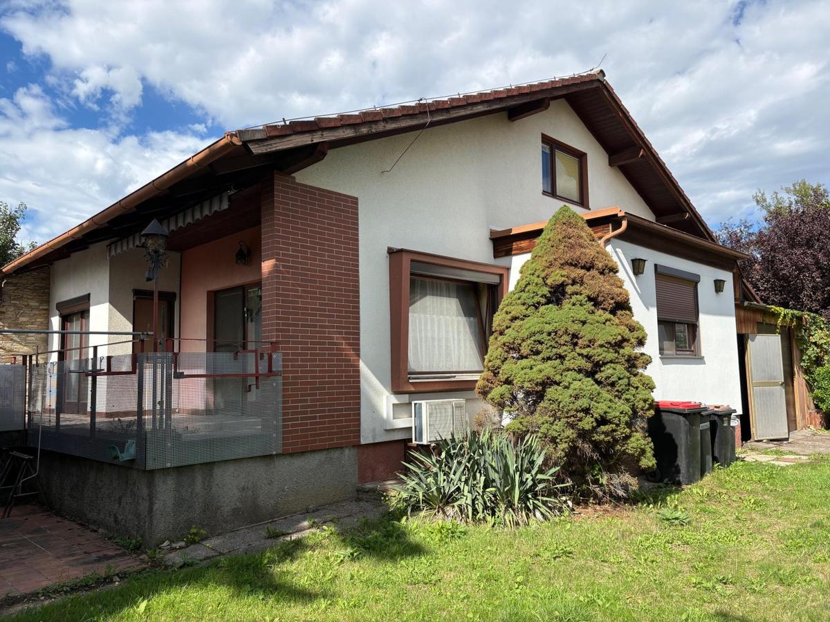 01 Einfamilienhaus in Langenlebarn