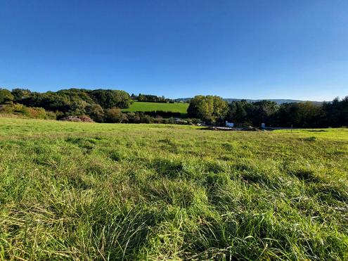 Aehnliche Immobilie - Vorschaubild 1