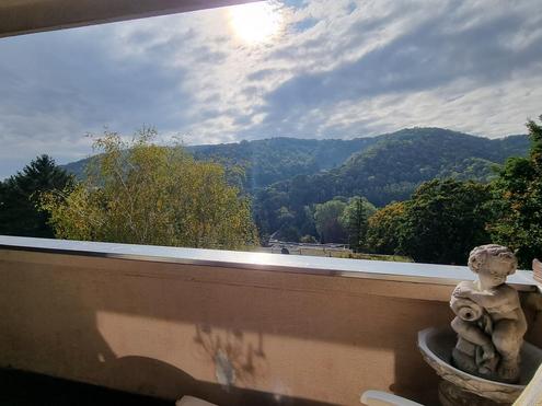 Aehnliche Immobilie - Vorschaubild 1