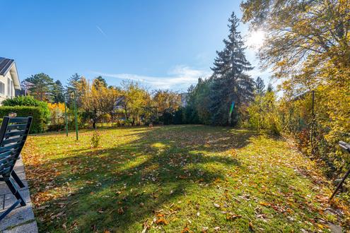 &quot;Platz fr Ihre Familiengeschichte - beim Napoleonwald&quot;