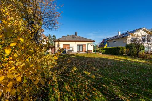 "Platz f�r Ihre Familiengeschichte - beim Napoleonwald"