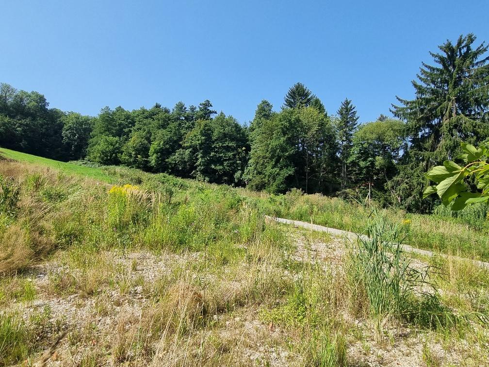 Baugrnde Irenental, Obj. 3935