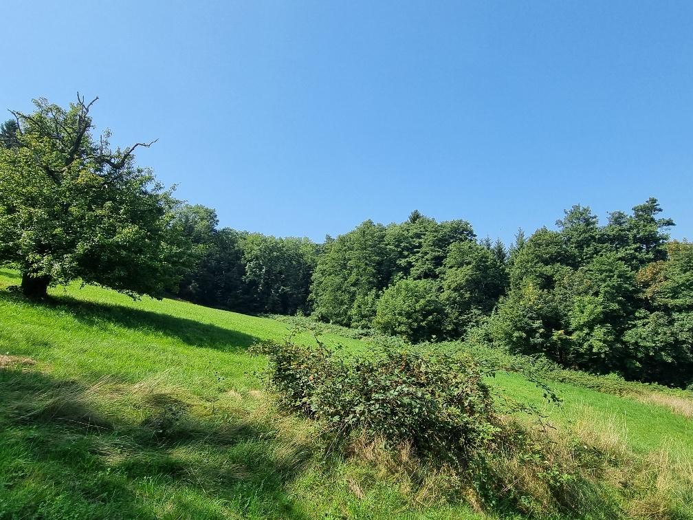 Angrenzendes Grnland