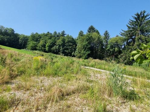 BAUGRUNDSTCKE - NEUPARZELLIERUNG IN SCHNER RUHELAGE