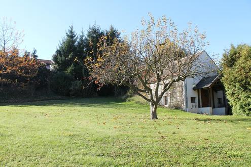 &quot;Baugrund in Sackgasse!&quot;