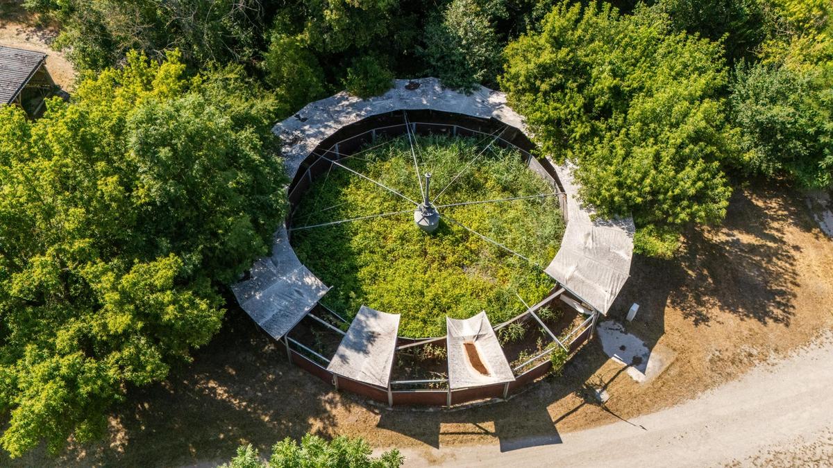 Reithof 2301 Andlersdorf