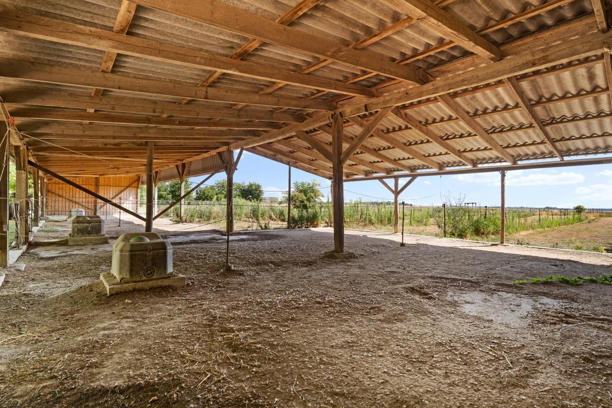 Reithof 2301 Andlersdorf