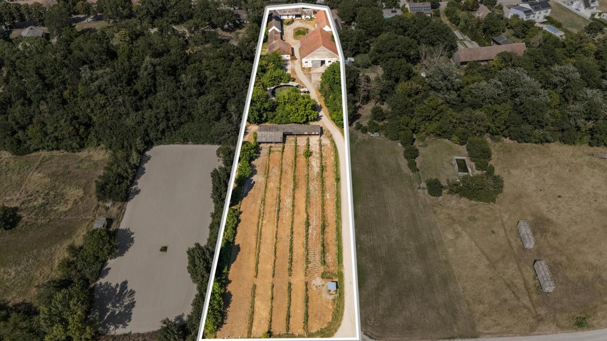 Reithof 2301 Andlersdorf