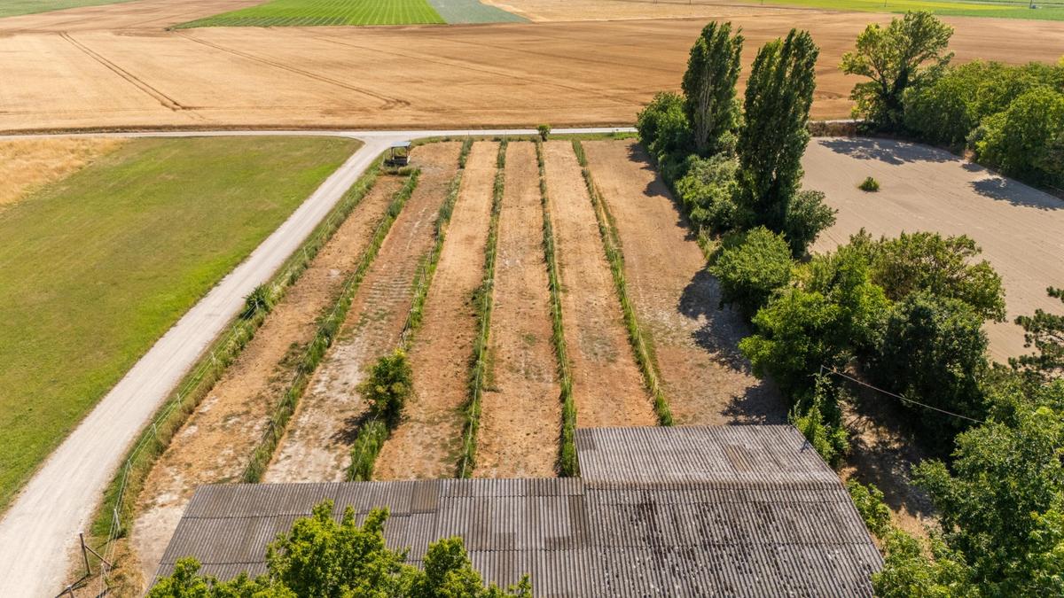 Reithof 2301 Andlersdorf