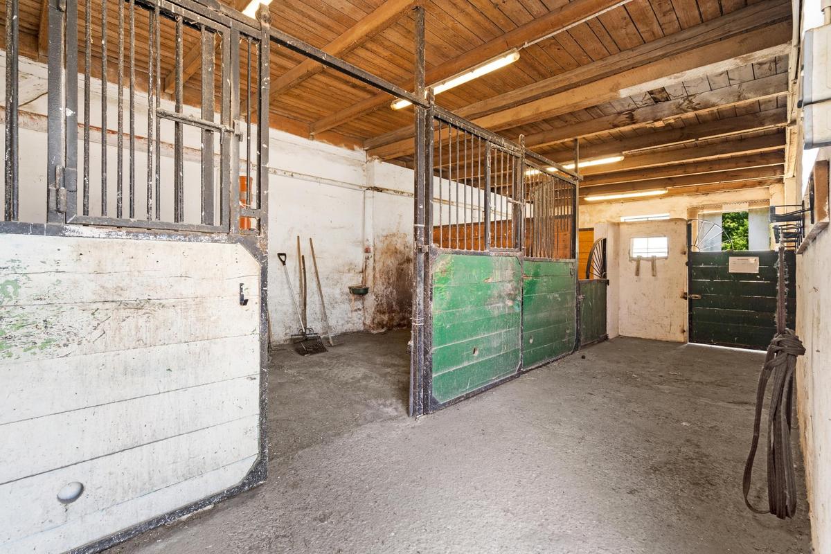 Reithof 2301 Andlersdorf