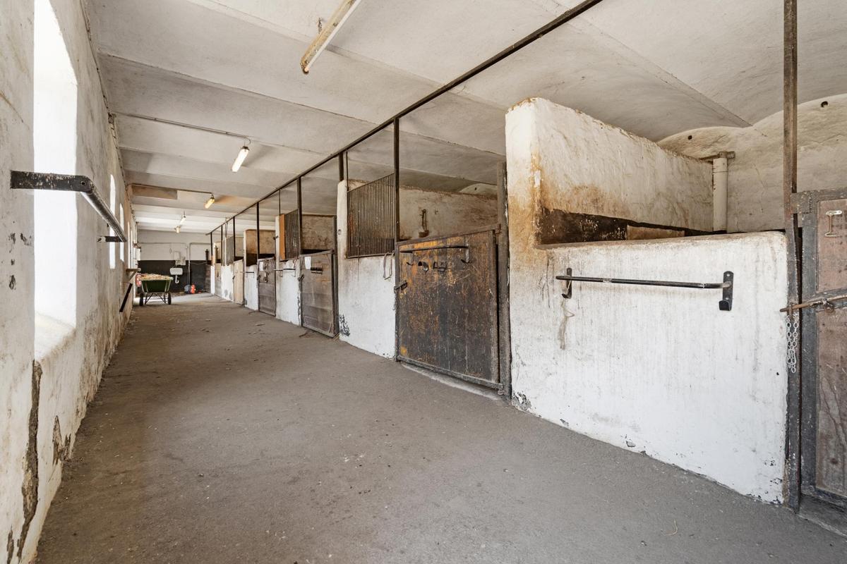 Reithof 2301 Andlersdorf