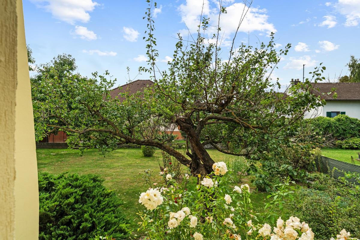 Bungalow 2304 Orth an der Donau