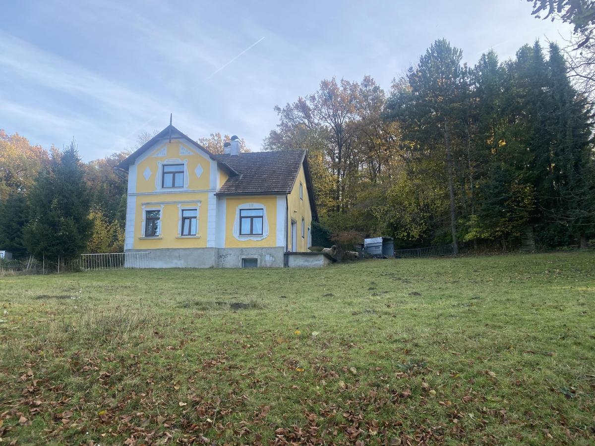 02 Landhaus mit Wiese